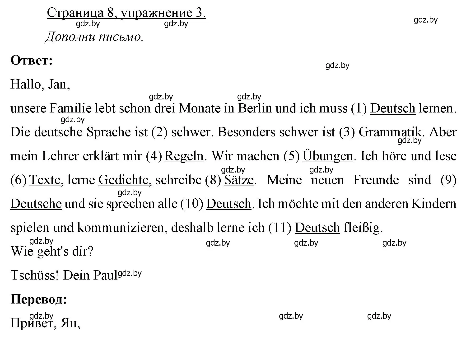 Решение номер 3 (страница 8) гдз по немецкому языку 7 класс Будько, Урбанович, рабочая тетрадь