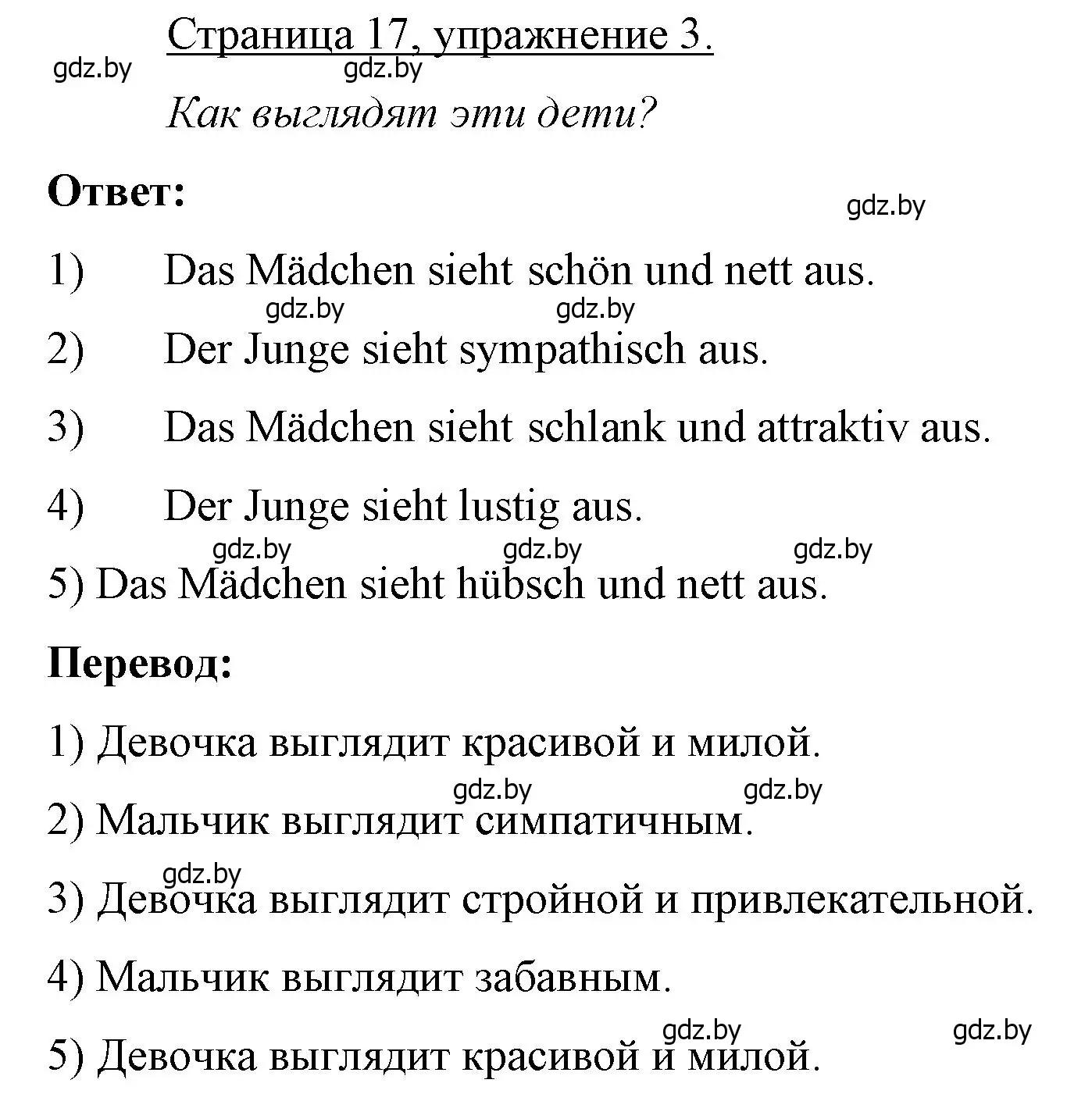 Решение номер 3 (страница 17) гдз по немецкому языку 7 класс Будько, Урбанович, рабочая тетрадь