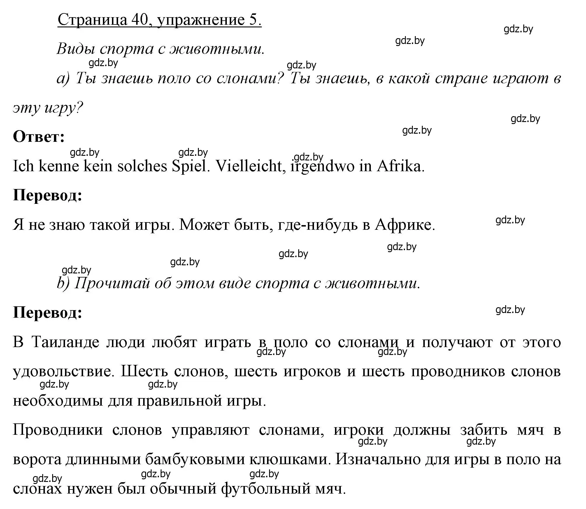 Решение номер 5 (страница 40) гдз по немецкому языку 7 класс Будько, Урбанович, рабочая тетрадь