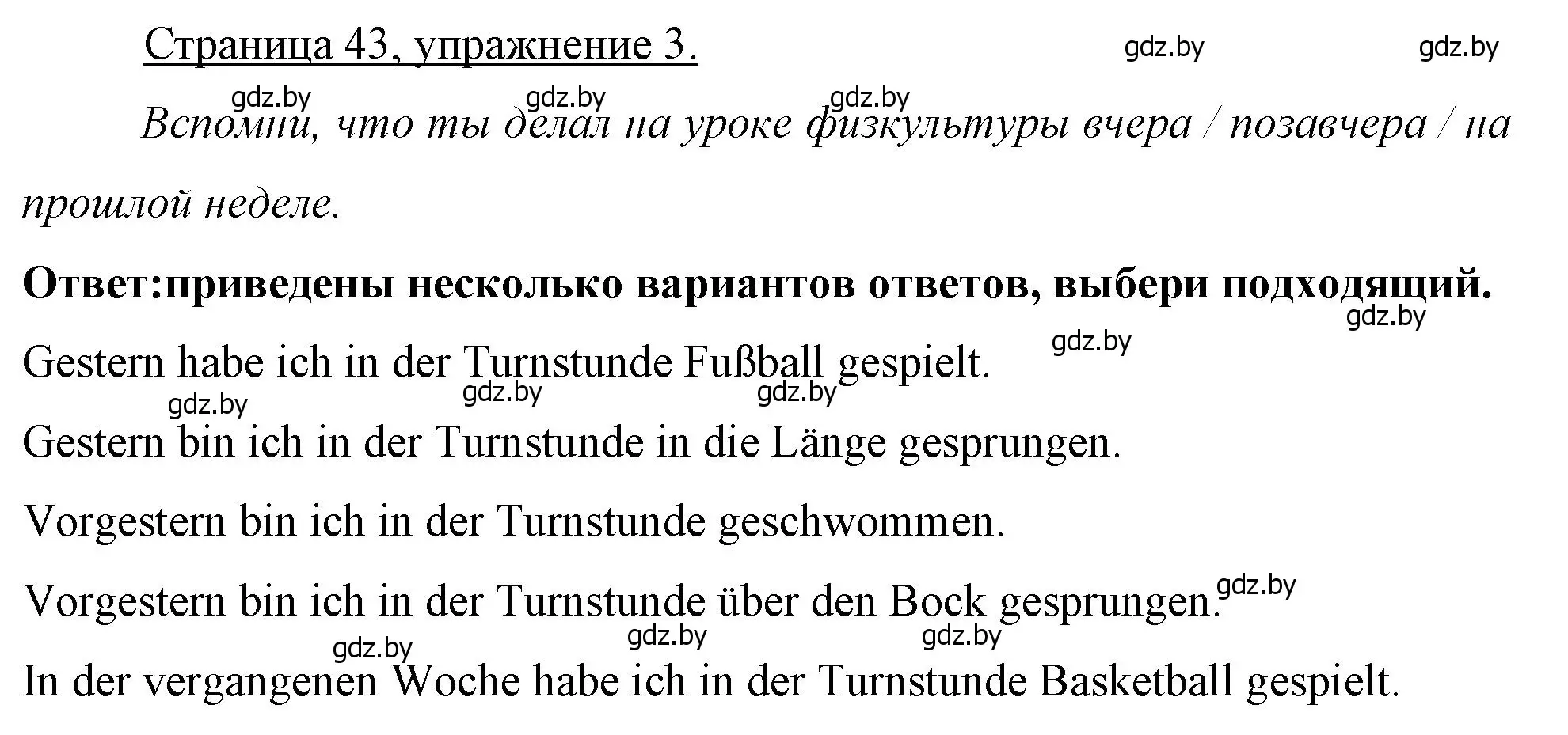 Решение номер 3 (страница 43) гдз по немецкому языку 7 класс Будько, Урбанович, рабочая тетрадь