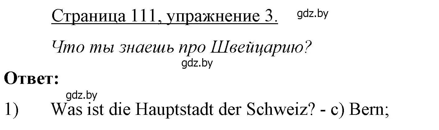 Решение номер 3 (страница 111) гдз по немецкому языку 7 класс Будько, Урбанович, рабочая тетрадь