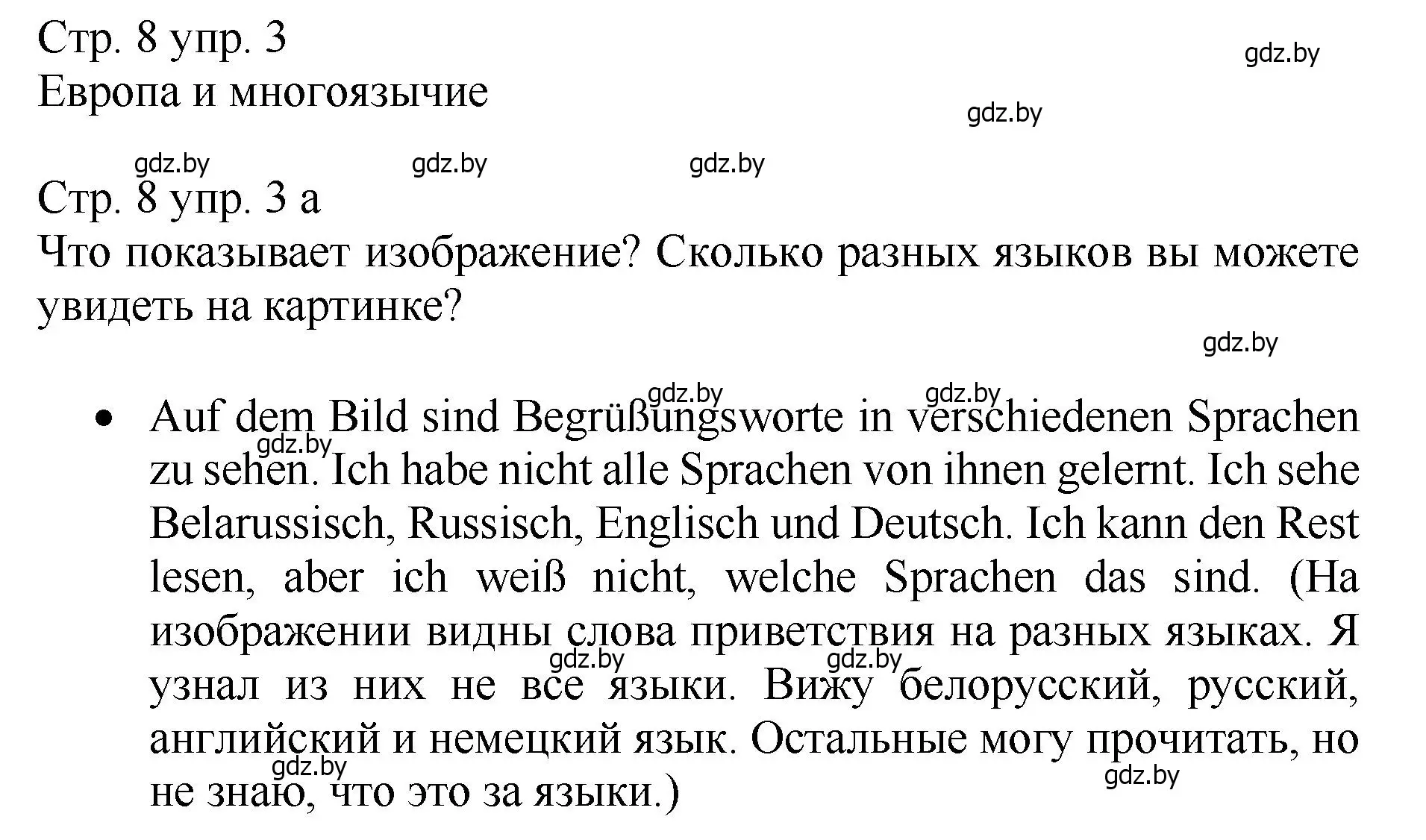 Решение номер 3 (страница 8) гдз по немецкому языку 7 класс Будько, Урбанович, учебник