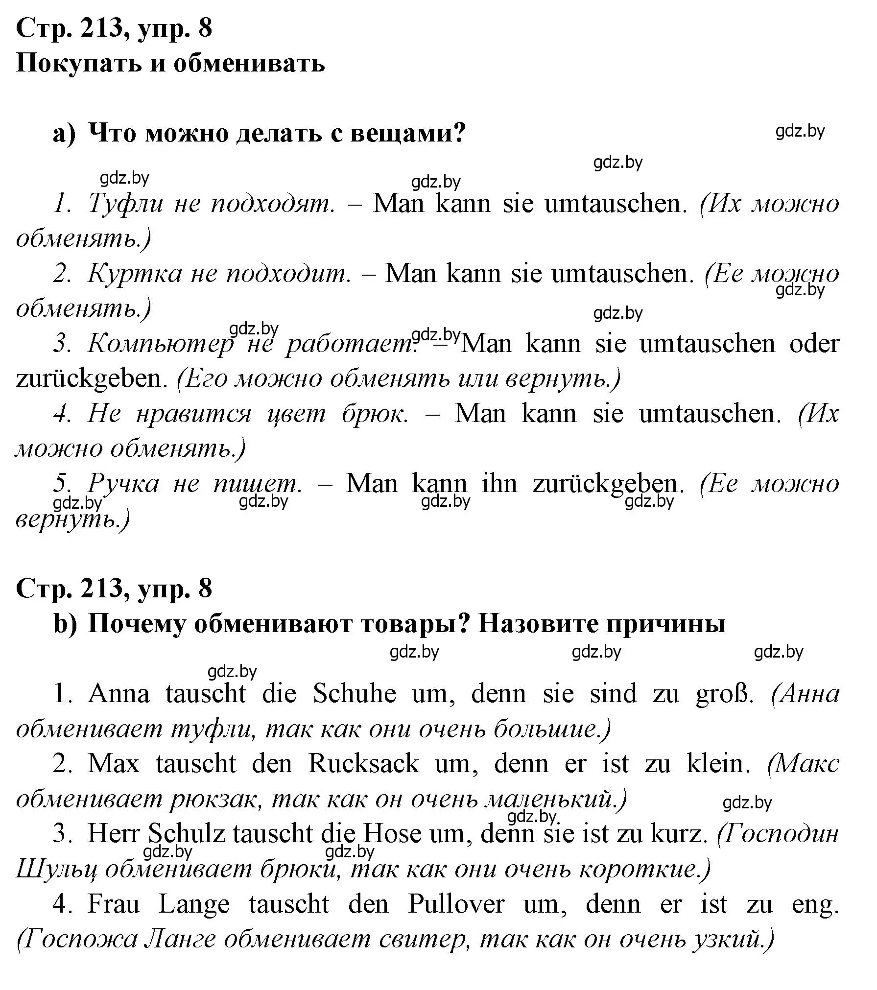 Решение номер 8 (страница 213) гдз по немецкому языку 7 класс Будько, Урбанович, учебник