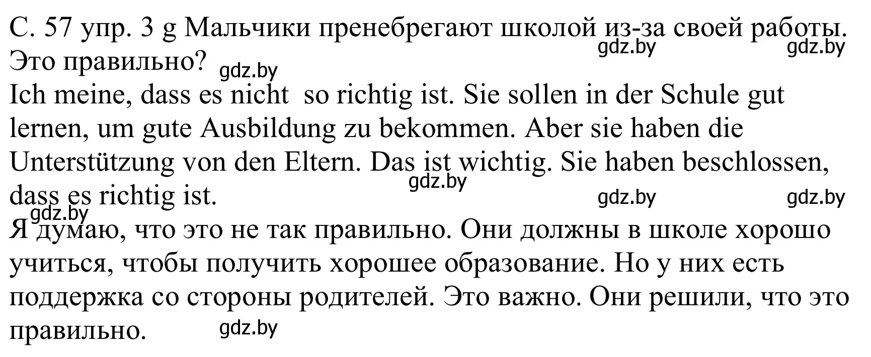 Решение номер 3g (страница 57) гдз по немецкому языку 8 класс Будько, Урбанович, учебник