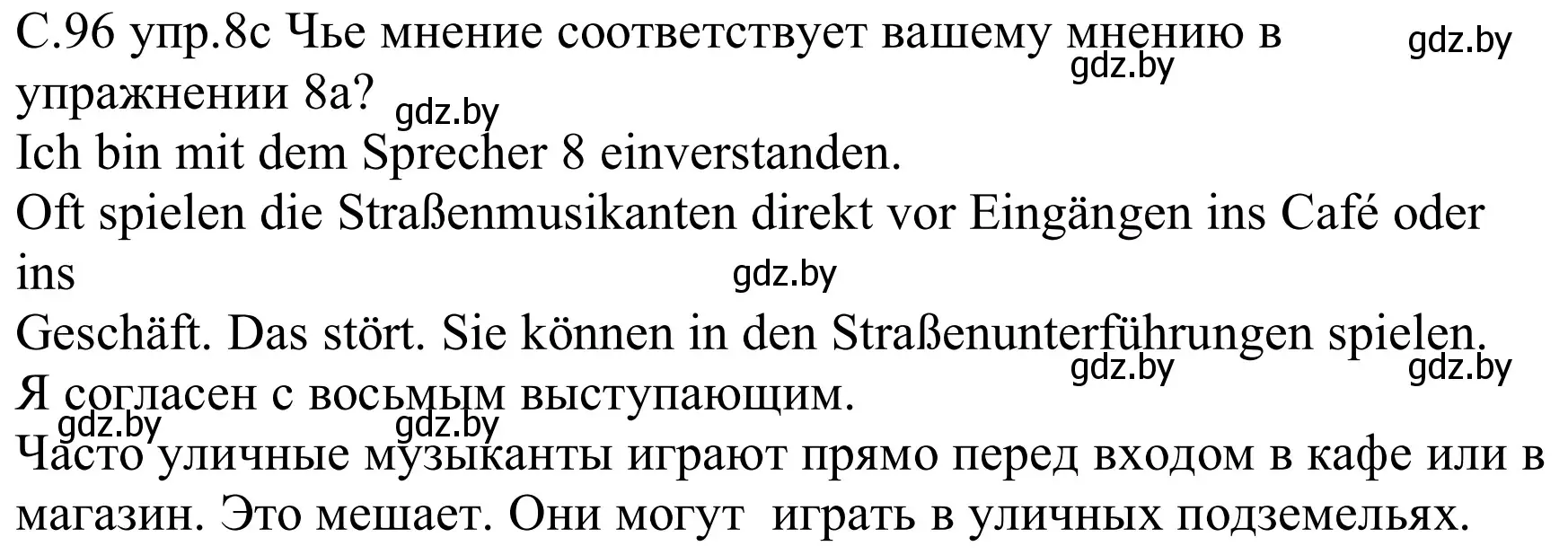 Решение номер 8c (страница 96) гдз по немецкому языку 8 класс Будько, Урбанович, учебник