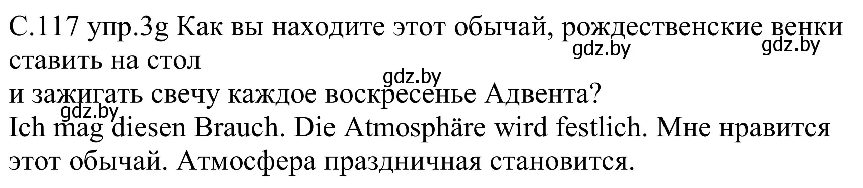 Решение номер 3g (страница 117) гдз по немецкому языку 8 класс Будько, Урбанович, учебник