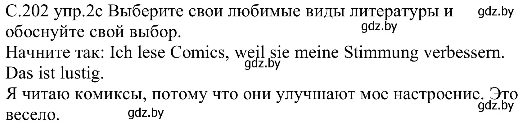 Решение номер 2e (страница 202) гдз по немецкому языку 8 класс Будько, Урбанович, учебник