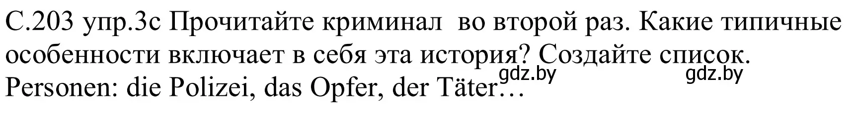 Решение номер 3c (страница 203) гдз по немецкому языку 8 класс Будько, Урбанович, учебник