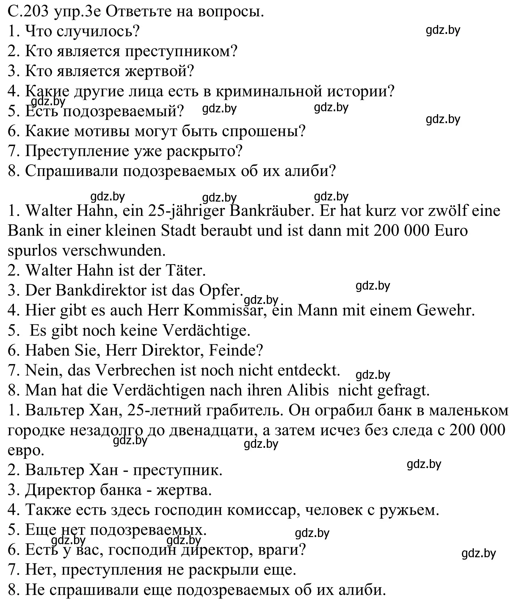 Решение номер 3e (страница 203) гдз по немецкому языку 8 класс Будько, Урбанович, учебник