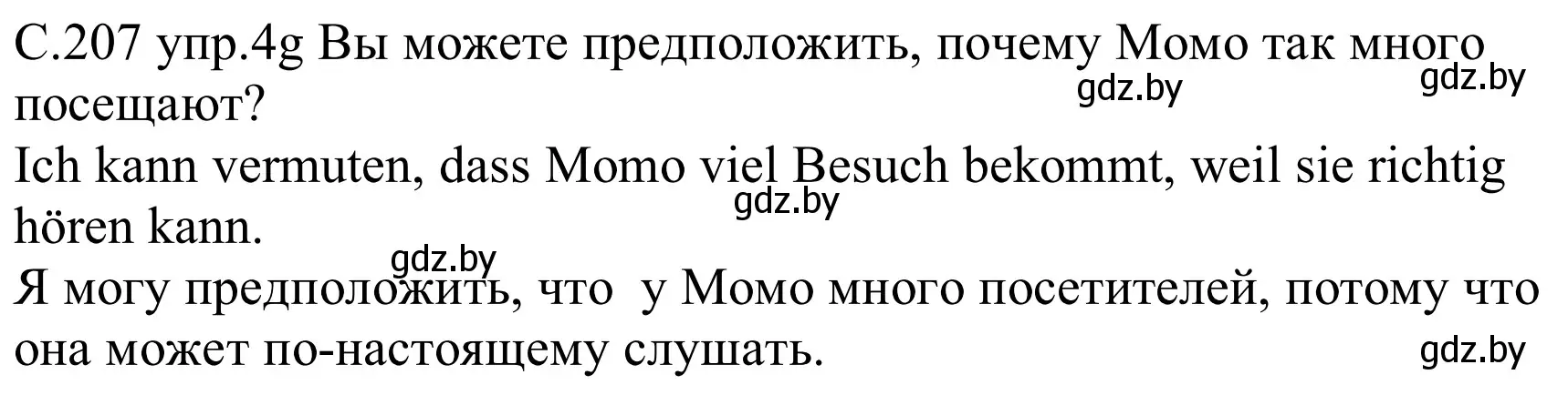 Решение номер 4g (страница 207) гдз по немецкому языку 8 класс Будько, Урбанович, учебник