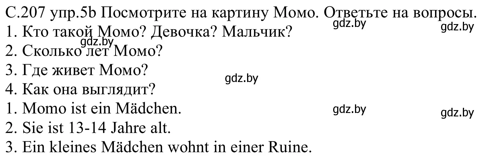 Решение номер 5b (страница 207) гдз по немецкому языку 8 класс Будько, Урбанович, учебник