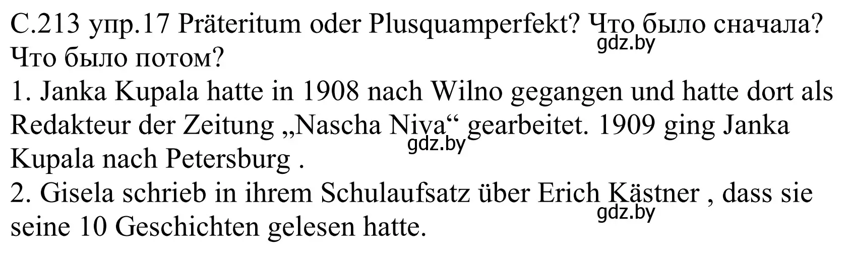 Решение номер 17 (страница 213) гдз по немецкому языку 8 класс Будько, Урбанович, учебник