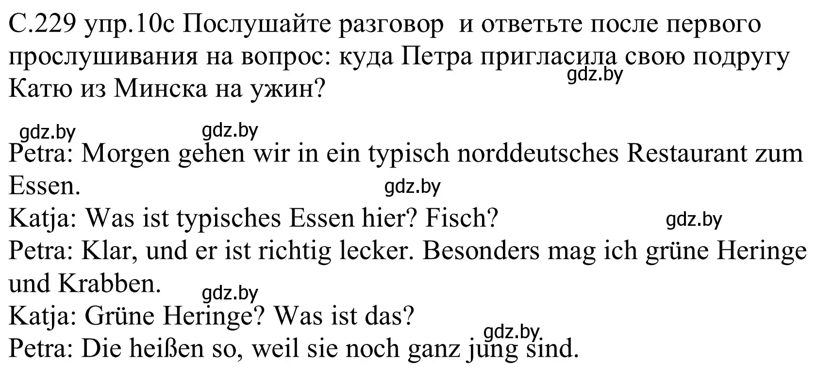 Решение номер 10c (страница 229) гдз по немецкому языку 8 класс Будько, Урбанович, учебник