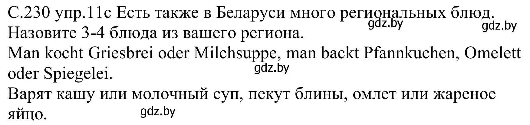 Решение номер 11c (страница 230) гдз по немецкому языку 8 класс Будько, Урбанович, учебник