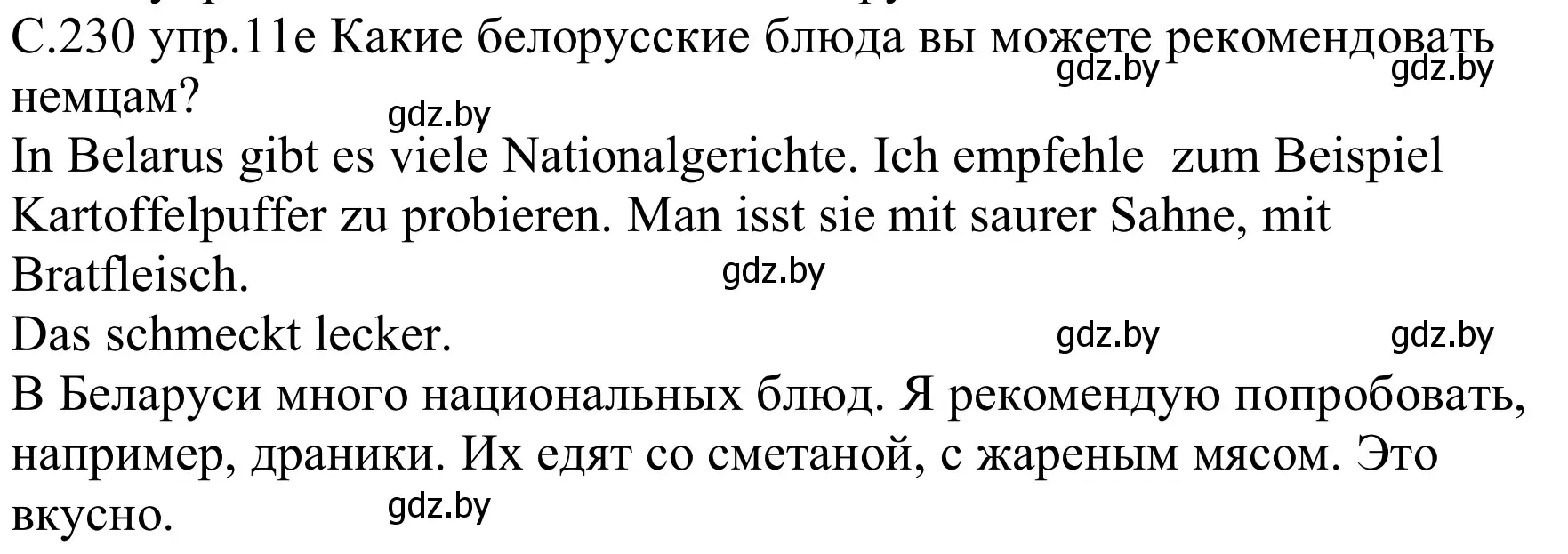 Решение номер 11e (страница 230) гдз по немецкому языку 8 класс Будько, Урбанович, учебник