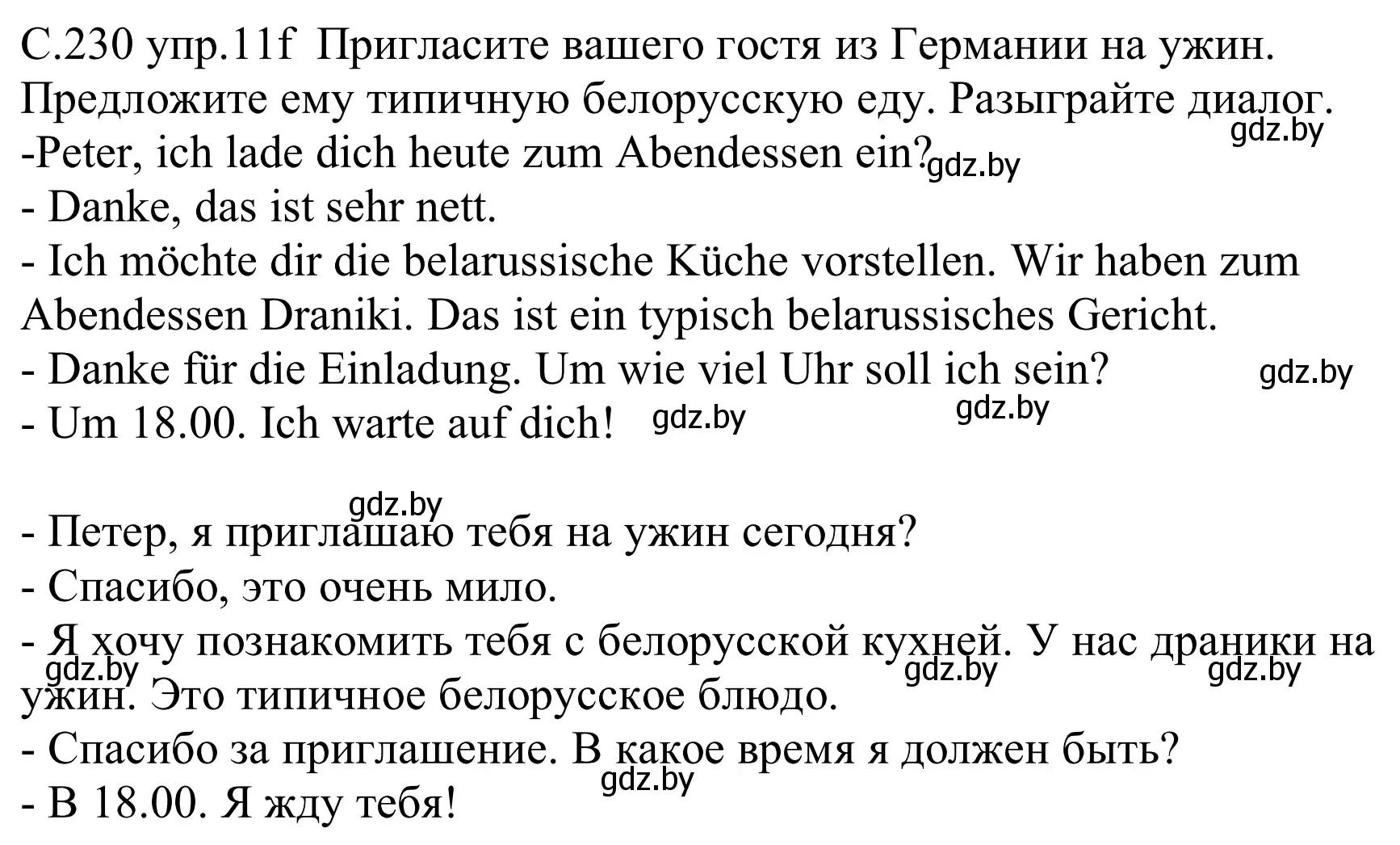 Решение номер 11f (страница 230) гдз по немецкому языку 8 класс Будько, Урбанович, учебник