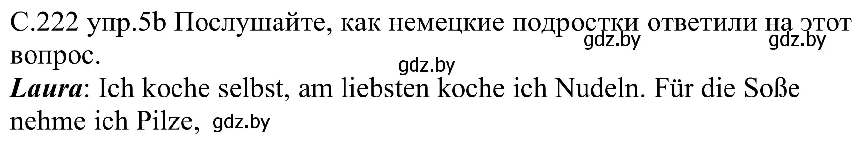 Решение номер 5b (страница 222) гдз по немецкому языку 8 класс Будько, Урбанович, учебник