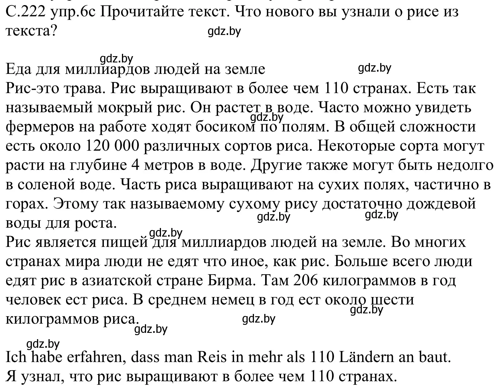 Решение номер 6c (страница 222) гдз по немецкому языку 8 класс Будько, Урбанович, учебник