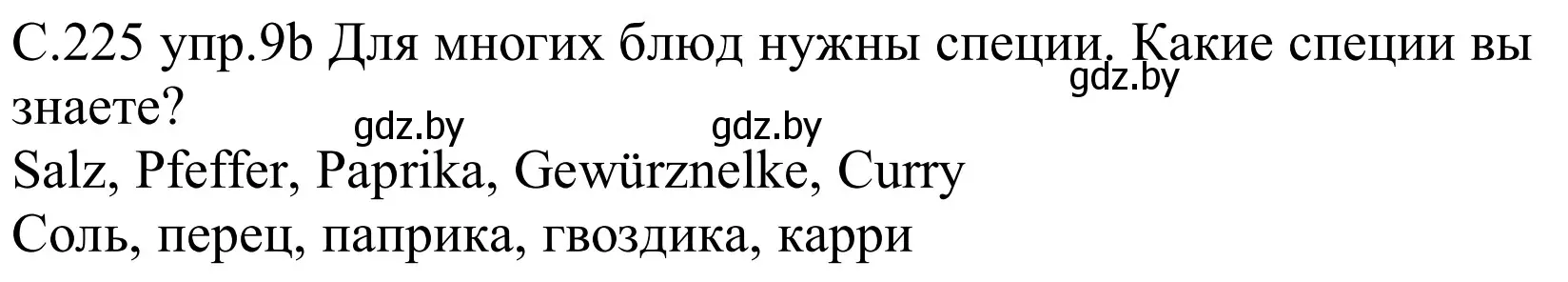 Решение номер 9b (страница 225) гдз по немецкому языку 8 класс Будько, Урбанович, учебник