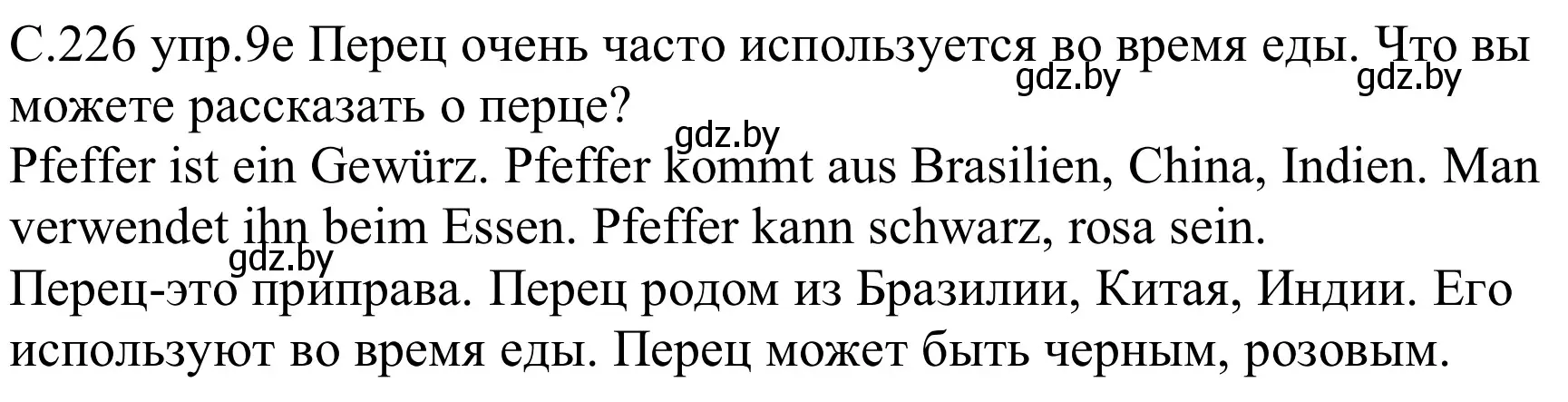 Решение номер 9e (страница 226) гдз по немецкому языку 8 класс Будько, Урбанович, учебник