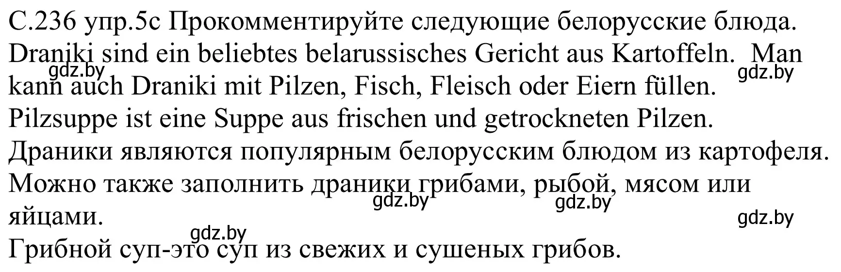 Решение номер 5c (страница 236) гдз по немецкому языку 8 класс Будько, Урбанович, учебник