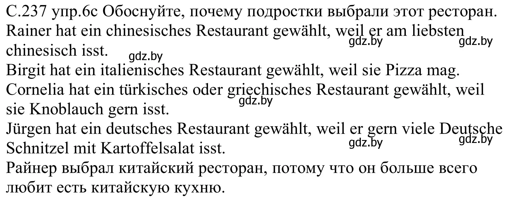 Решение номер 6c (страница 237) гдз по немецкому языку 8 класс Будько, Урбанович, учебник