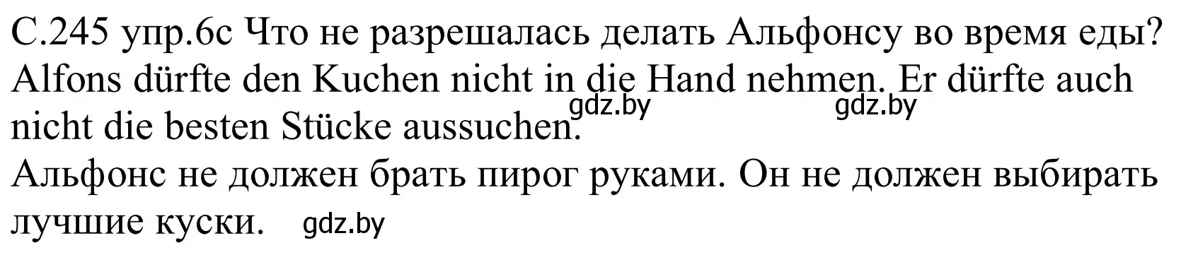 Решение номер 6c (страница 245) гдз по немецкому языку 8 класс Будько, Урбанович, учебник