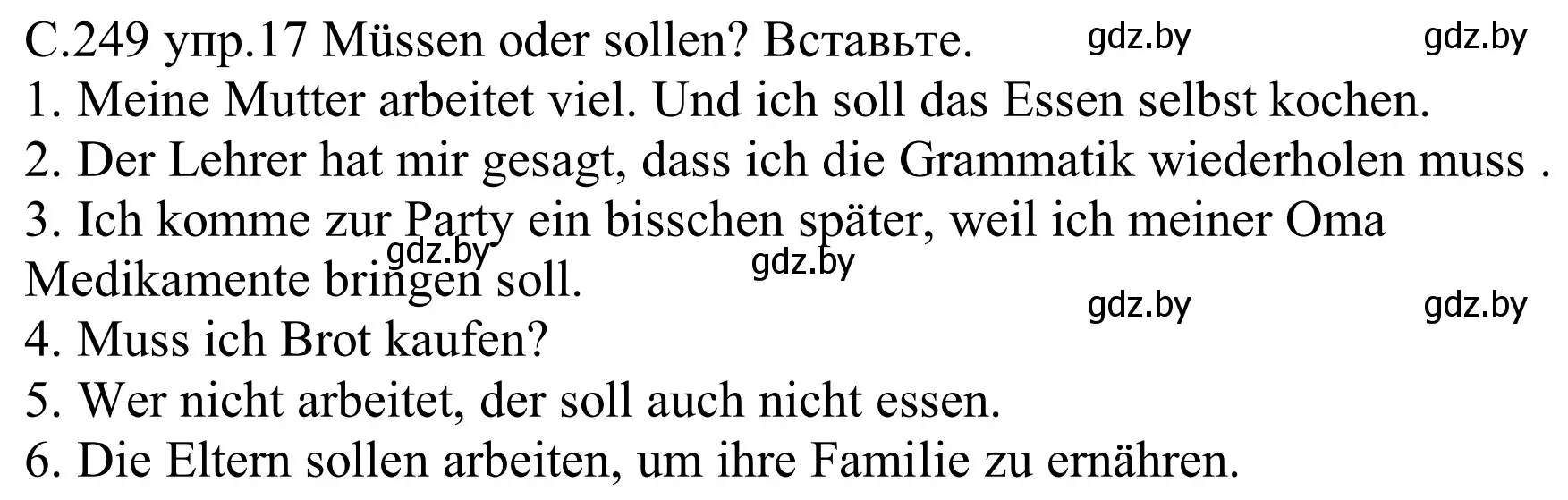 Решение номер 17 (страница 249) гдз по немецкому языку 8 класс Будько, Урбанович, учебник