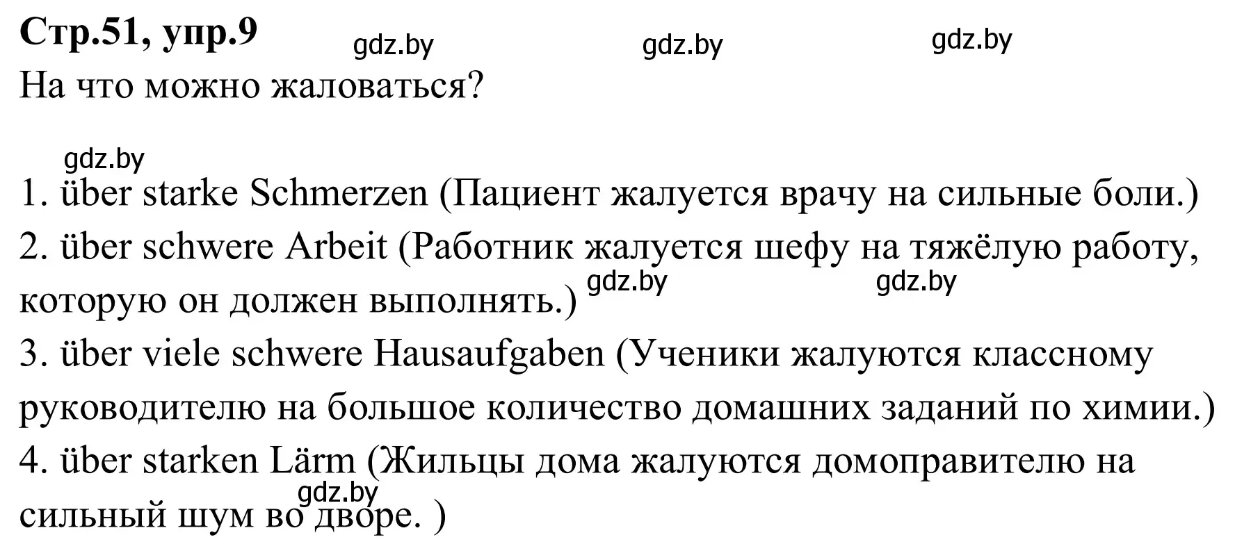 Решение номер 9 (страница 51) гдз по немецкому языку 9 класс Будько, Урбанович, рабочая тетрадь