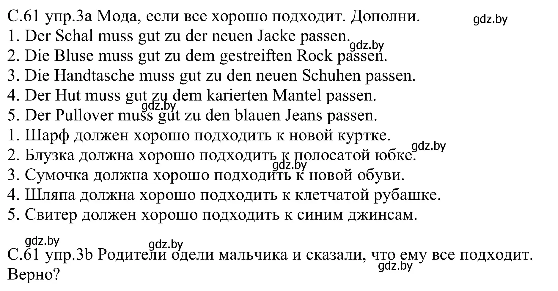 Решение номер 3 (страница 61) гдз по немецкому языку 9 класс Будько, Урбанович, рабочая тетрадь