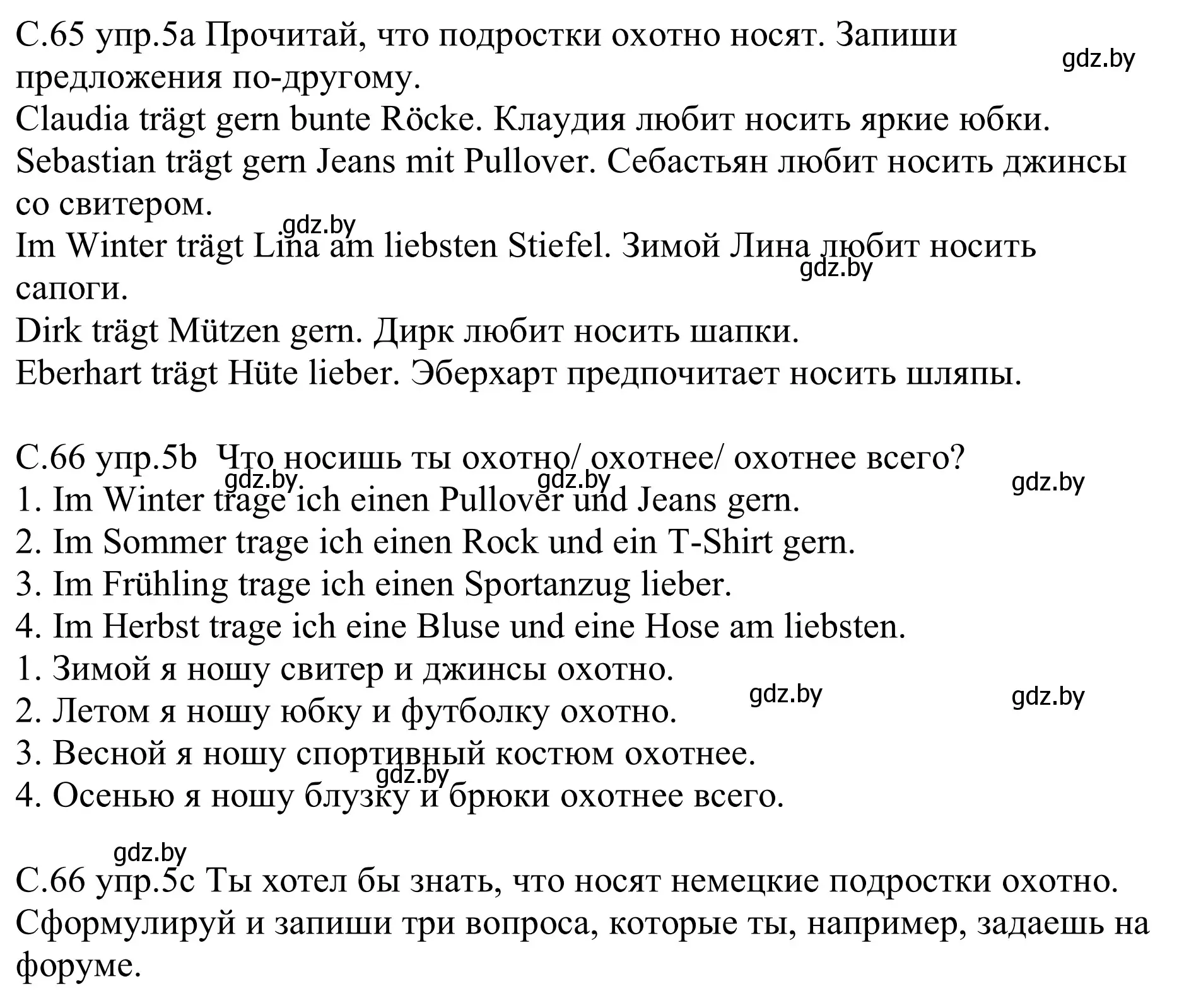 Решение номер 5 (страница 65) гдз по немецкому языку 9 класс Будько, Урбанович, рабочая тетрадь