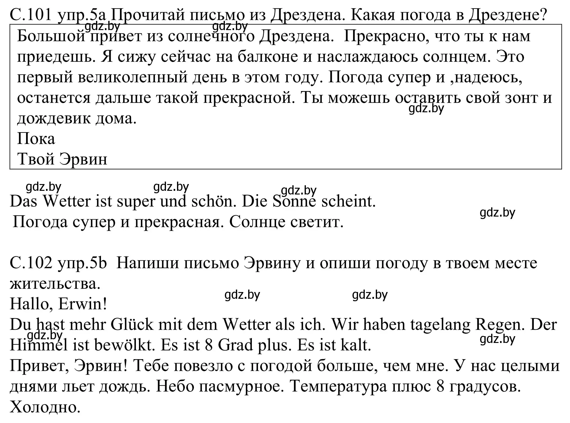 Решение номер 5 (страница 101) гдз по немецкому языку 9 класс Будько, Урбанович, рабочая тетрадь