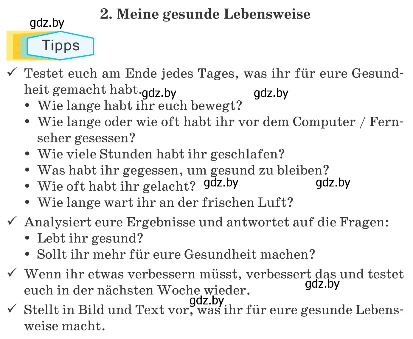 Условие номер 2. Meine gesunde Lebensweise (страница 131) гдз по немецкому языку 9 класс Будько, Урбанович, учебник