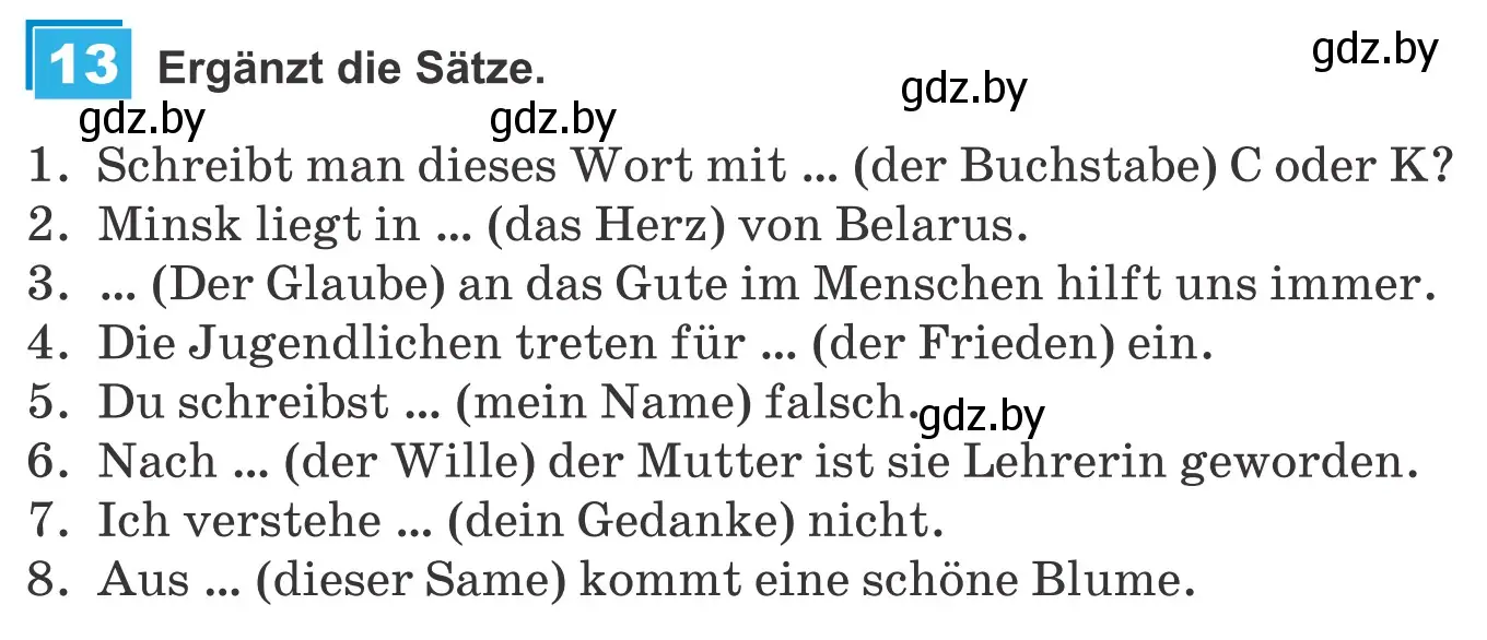 Условие номер 13 (страница 247) гдз по немецкому языку 9 класс Будько, Урбанович, учебник