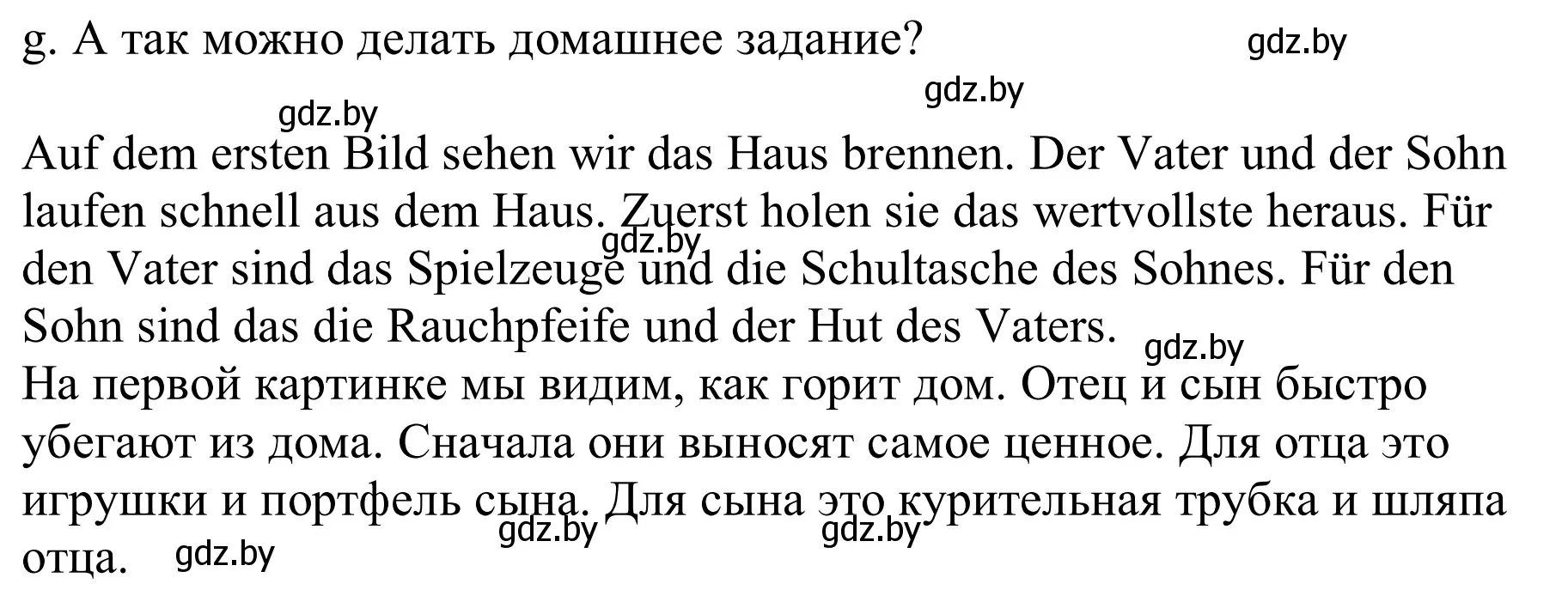 Решение номер 9g (страница 24) гдз по немецкому языку 9 класс Будько, Урбанович, учебник