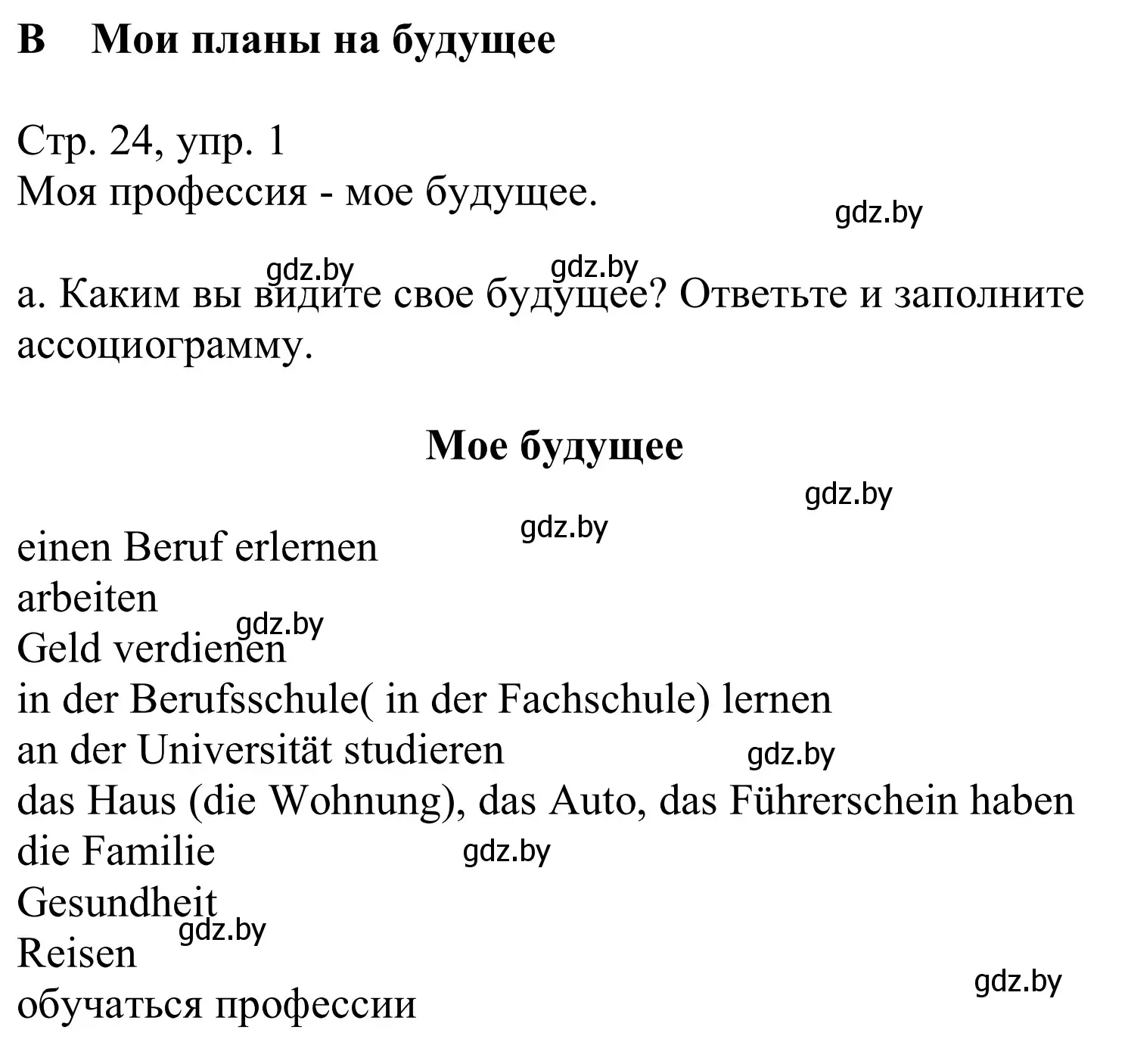 Решение номер 1a (страница 24) гдз по немецкому языку 9 класс Будько, Урбанович, учебник