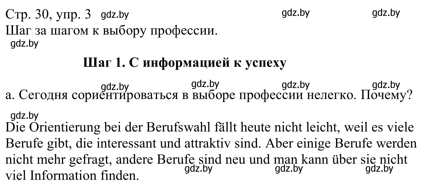 Решение номер 3a (страница 30) гдз по немецкому языку 9 класс Будько, Урбанович, учебник