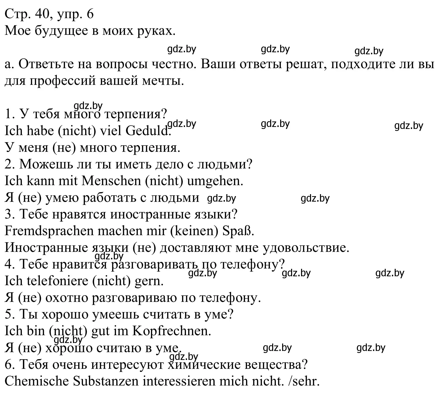 Решение номер 6a (страница 40) гдз по немецкому языку 9 класс Будько, Урбанович, учебник