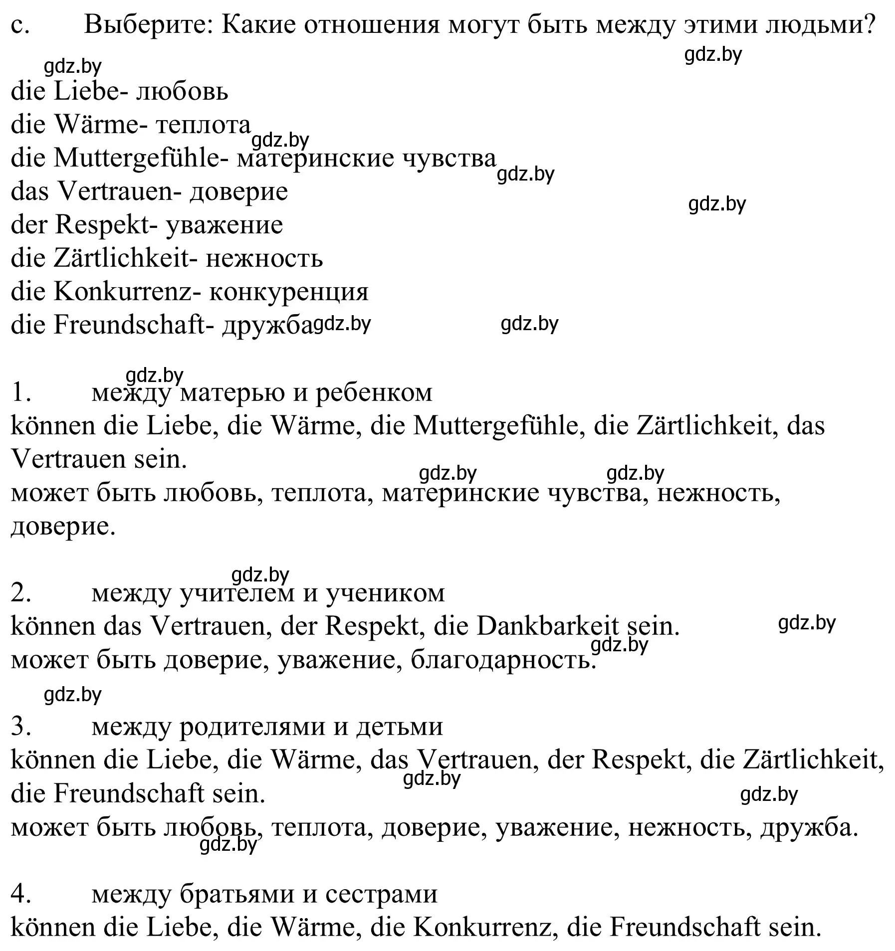 Решение номер 3c (страница 58) гдз по немецкому языку 9 класс Будько, Урбанович, учебник