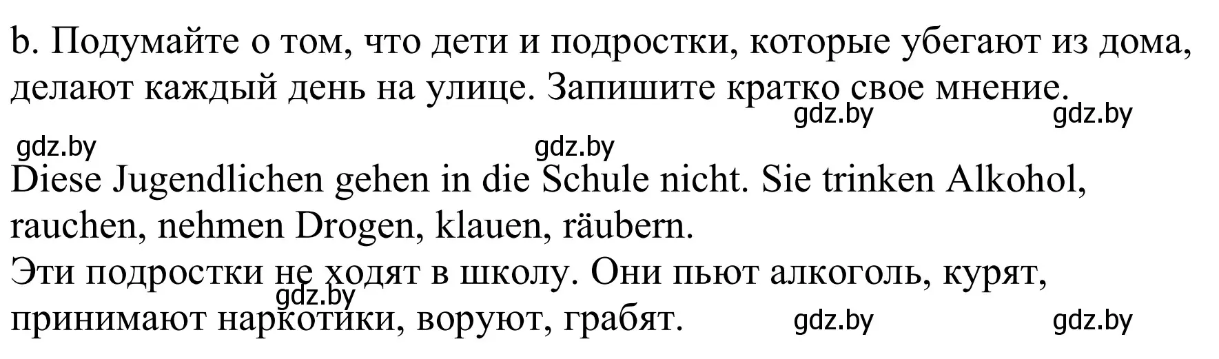 Решение номер 3b (страница 90) гдз по немецкому языку 9 класс Будько, Урбанович, учебник