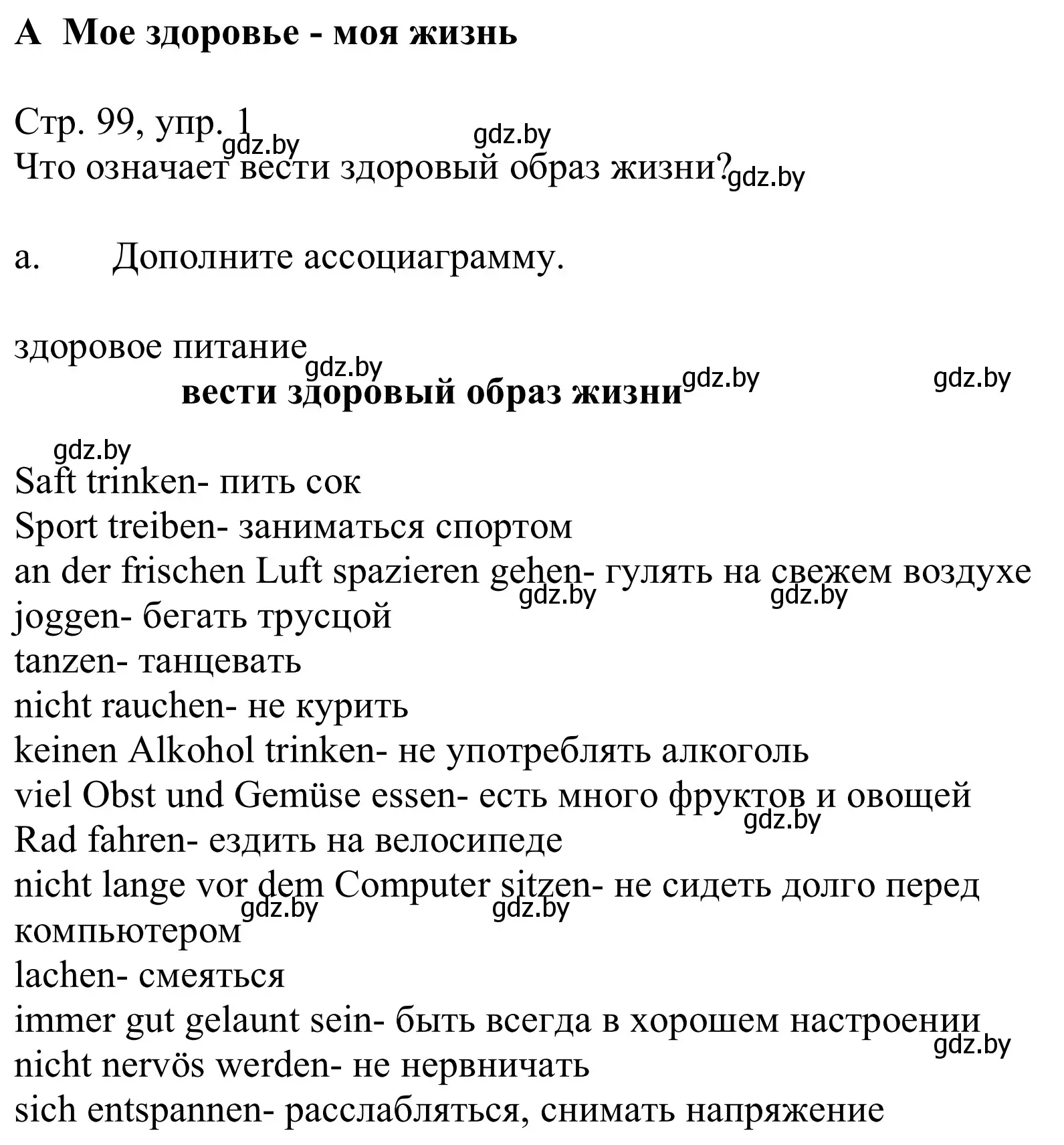 Решение номер 1a (страница 99) гдз по немецкому языку 9 класс Будько, Урбанович, учебник