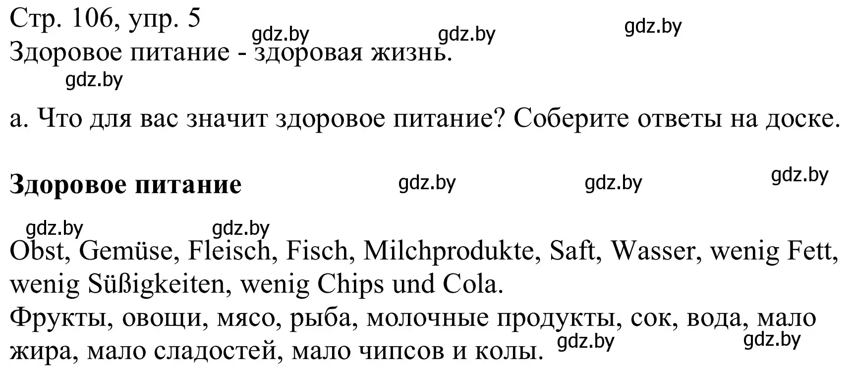 Решение номер 5a (страница 106) гдз по немецкому языку 9 класс Будько, Урбанович, учебник