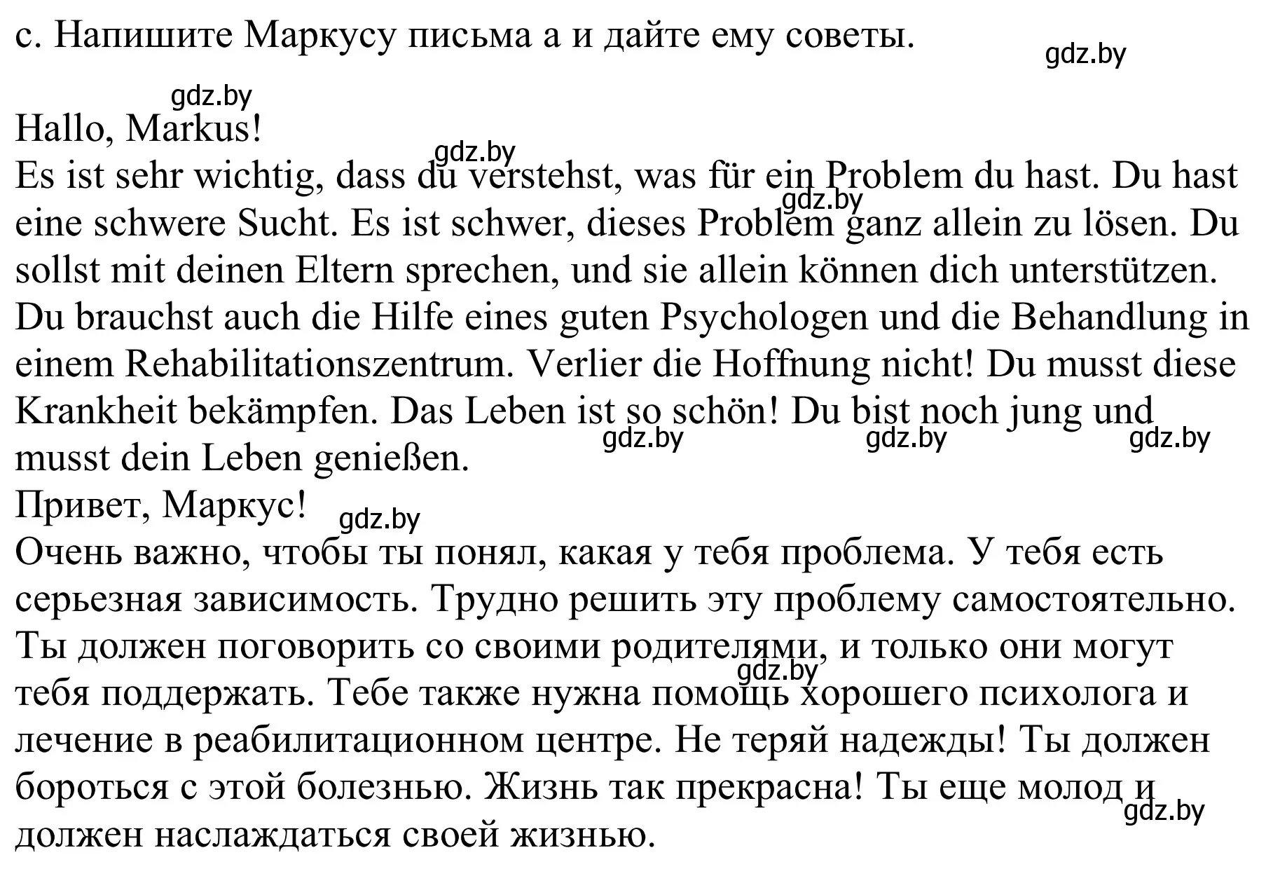 Решение номер 5c (страница 118) гдз по немецкому языку 9 класс Будько, Урбанович, учебник