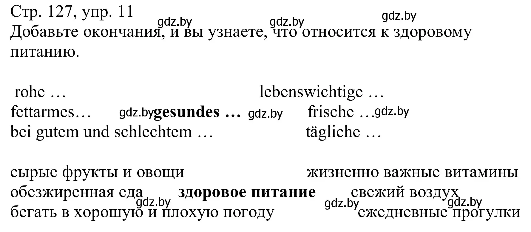 Решение номер 11 (страница 127) гдз по немецкому языку 9 класс Будько, Урбанович, учебник