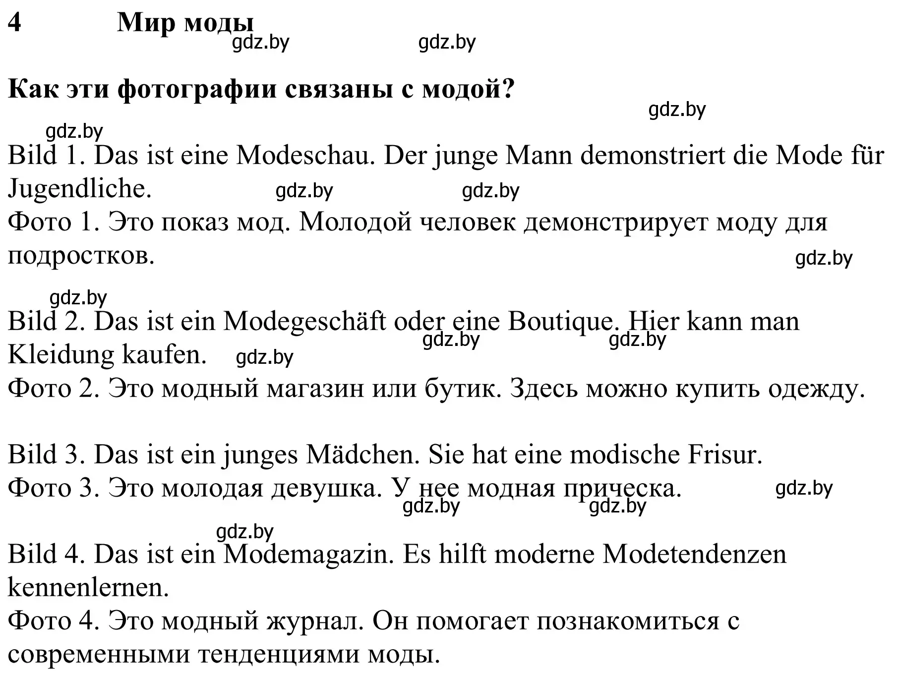 Решение номер 1 (страница 133) гдз по немецкому языку 9 класс Будько, Урбанович, учебник