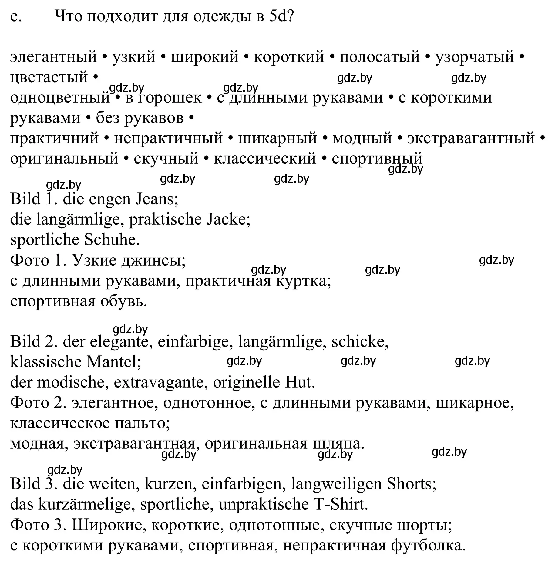 Решение номер 5e (страница 141) гдз по немецкому языку 9 класс Будько, Урбанович, учебник