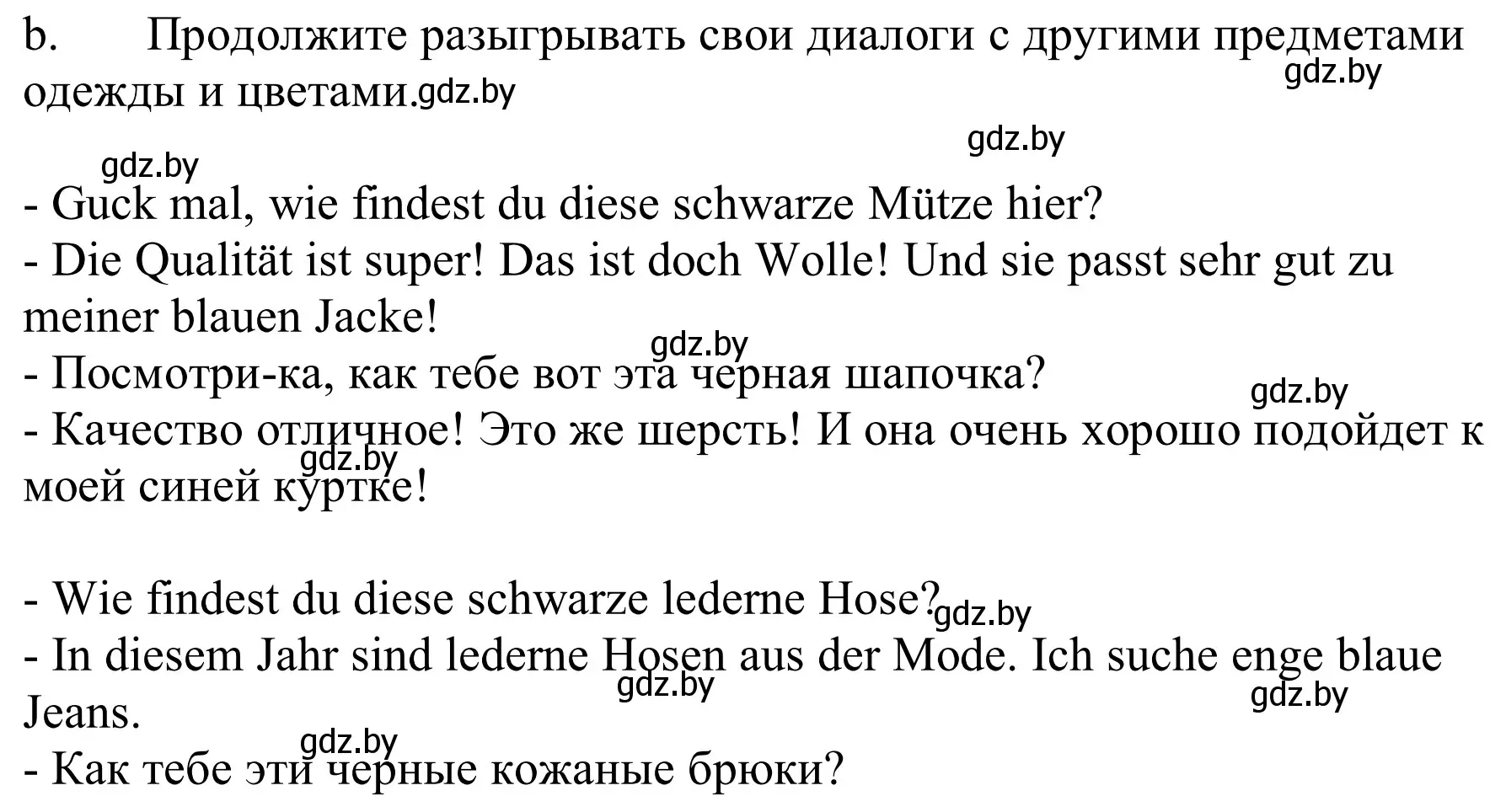 Решение номер 6b (страница 142) гдз по немецкому языку 9 класс Будько, Урбанович, учебник