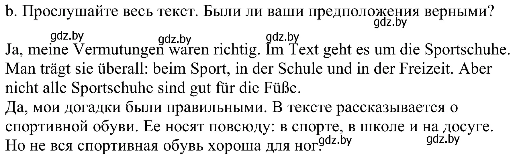 Решение номер 9b (страница 147) гдз по немецкому языку 9 класс Будько, Урбанович, учебник