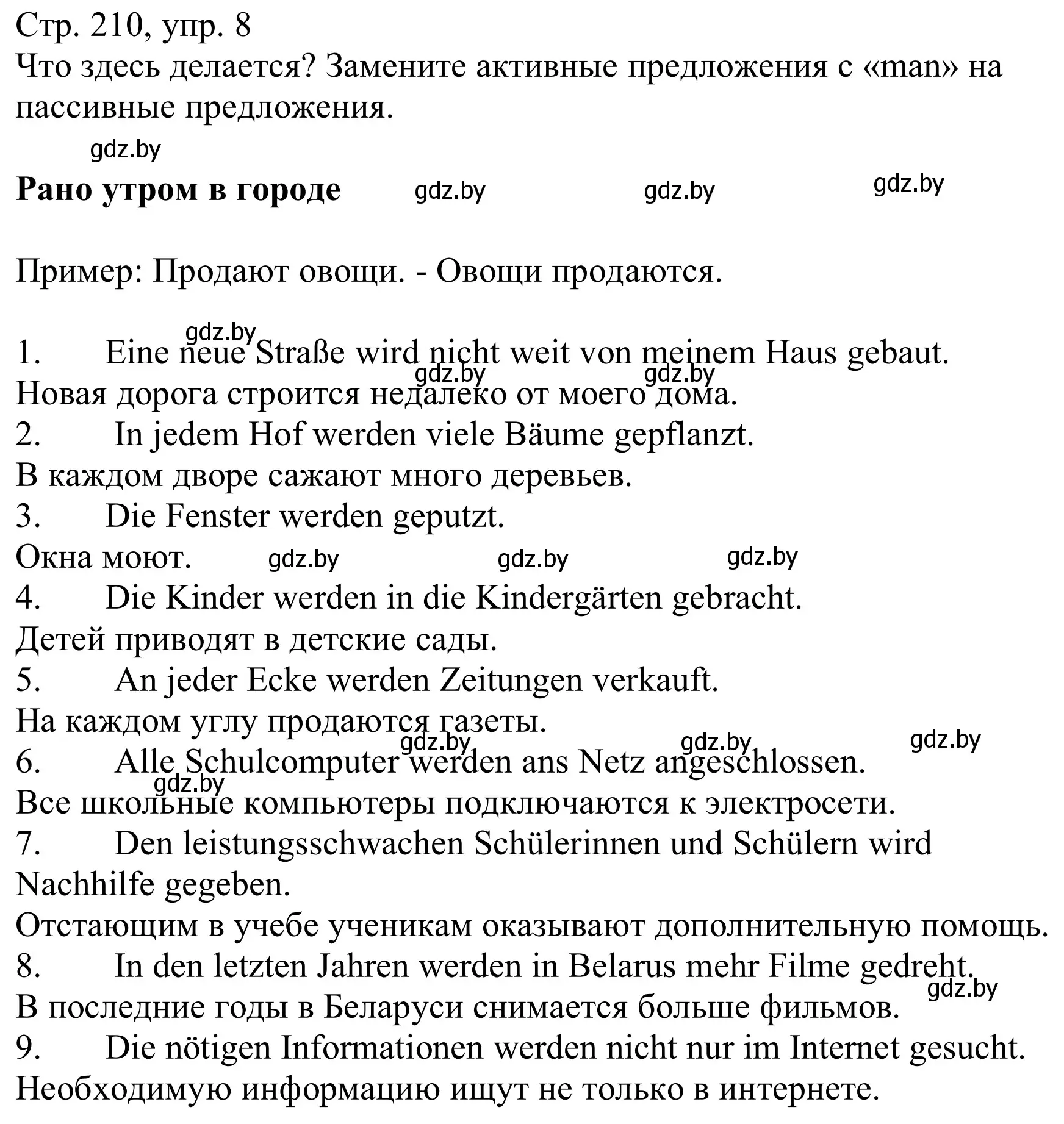 Решение номер 8 (страница 210) гдз по немецкому языку 9 класс Будько, Урбанович, учебник