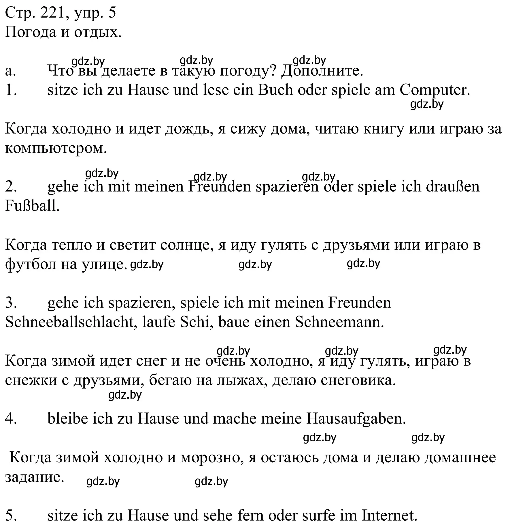 Решение номер 5a (страница 221) гдз по немецкому языку 9 класс Будько, Урбанович, учебник